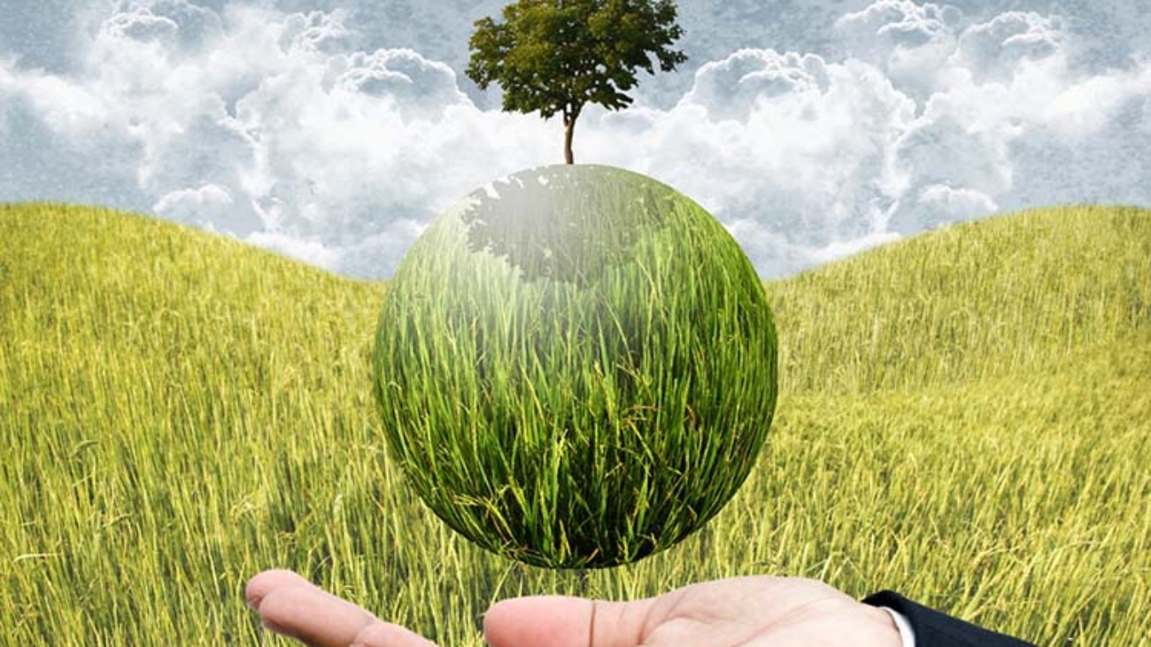 Agricultura-de-precision-una-gama-de-tecnologias-para-uso-sostenible
