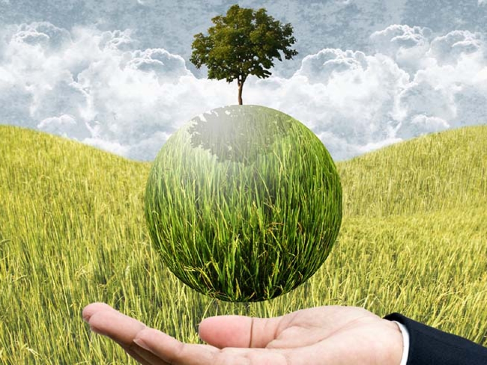 Agricultura-de-precision-una-gama-de-tecnologias-para-uso-sostenible