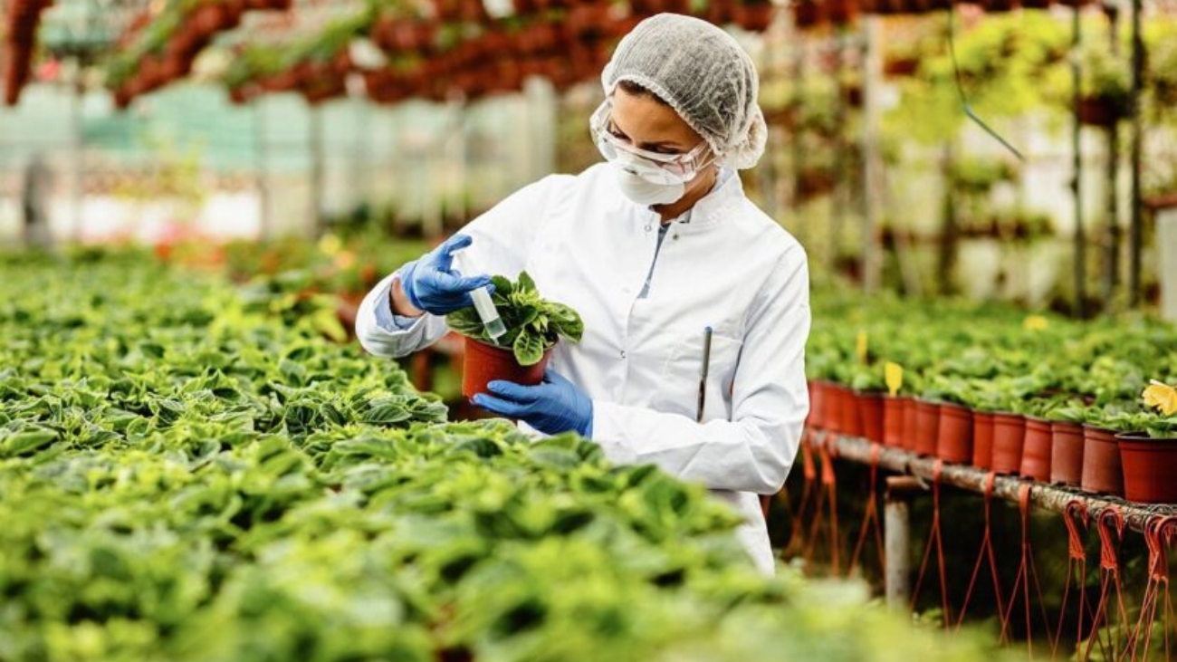 La-biotecnología-en-la-agricultura-828x548